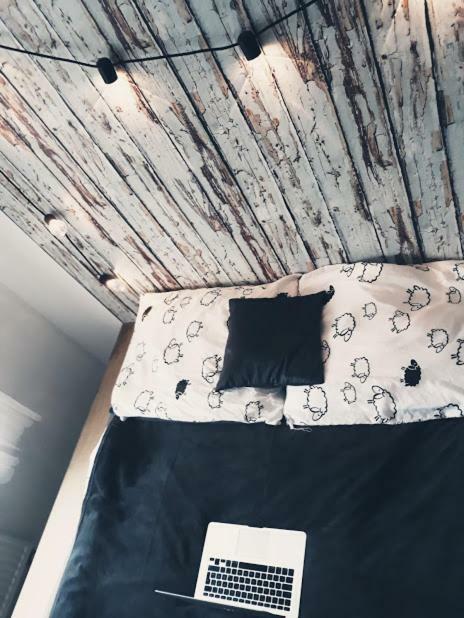 Apartament Lesny 드지우노웨크 외부 사진